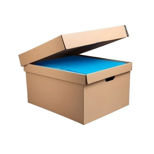 Corrugated Box with Lids Wholesale