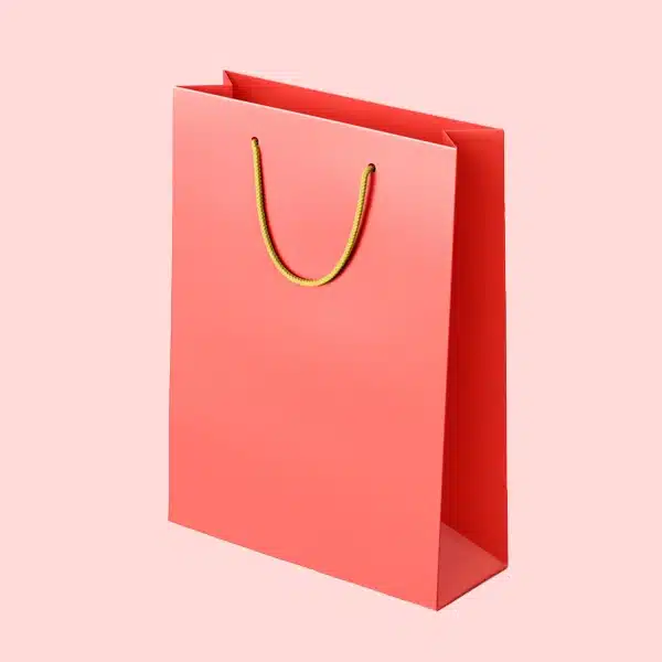 Paper Gift Bags Wholesale